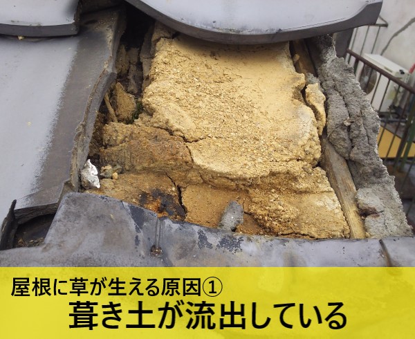 屋根に草が生える原因　葺き土が流出している